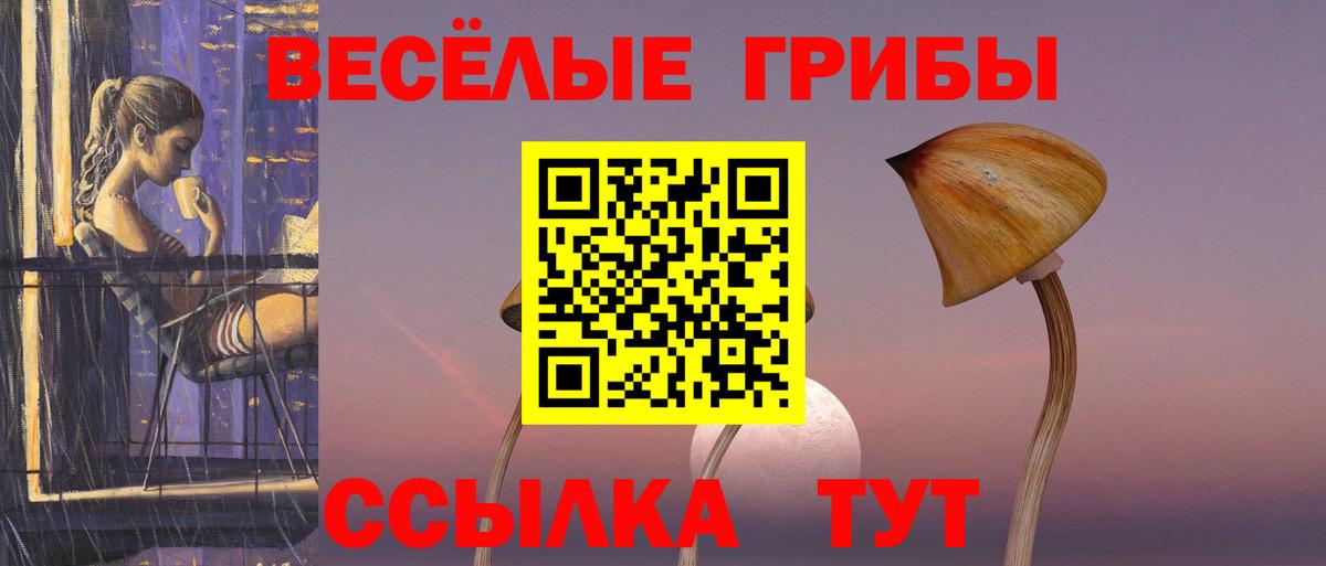 Марихуана  Хасавюрт  МЕТАМФЕТАМИН  Alpha-PVP СК кристаллы  Мефедрон  Вход с VPN  Меф   ГАШ  ЭКСТАЗИ 